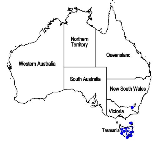 File:Map.Westringia rubiifolia.jpg