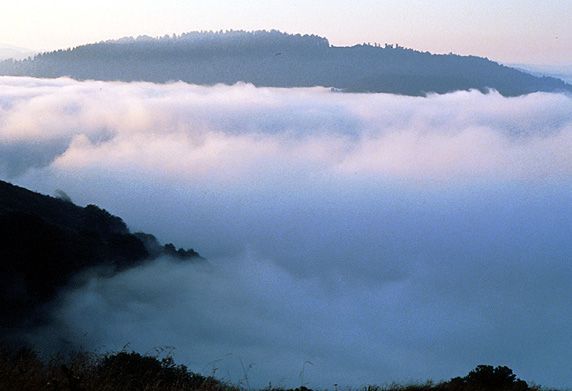 File:North coast fog.jpg