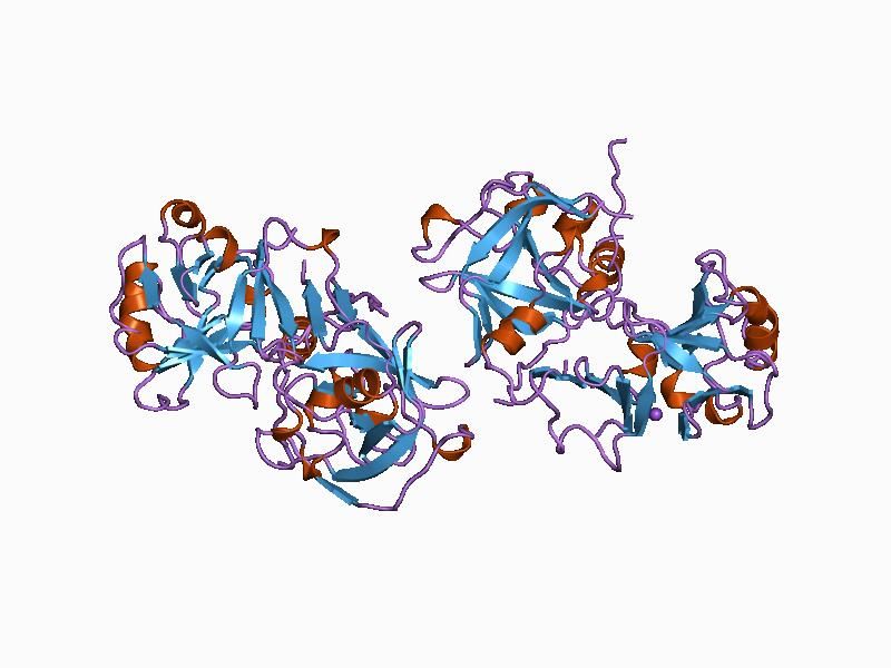 File:PDB 1avf EBI.jpg