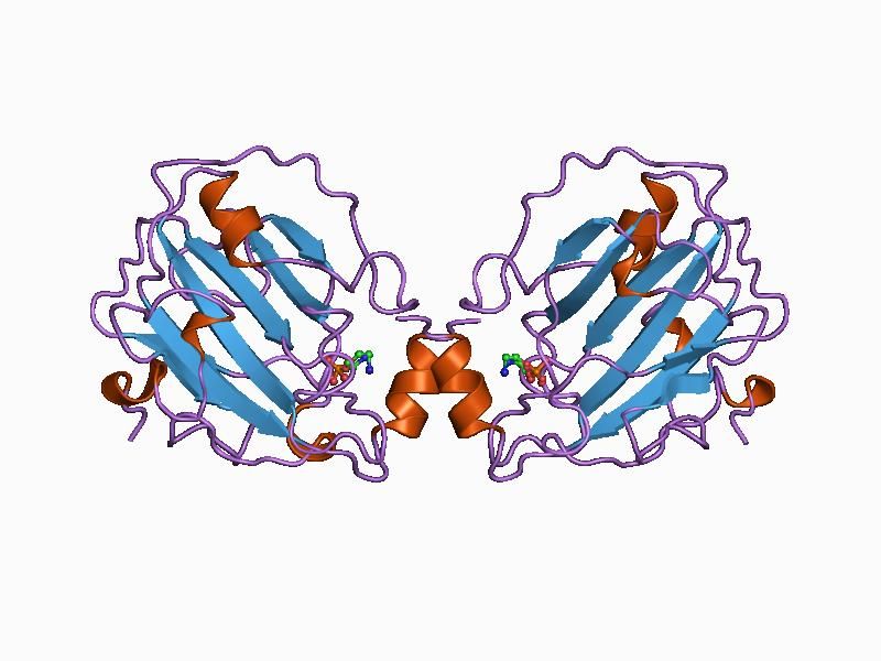 File:PDB 1b7a EBI.jpg