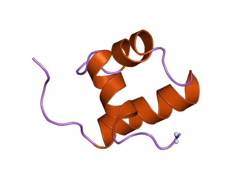 File:PDB 1mbg EBI.jpg