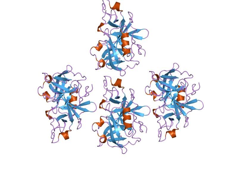 File:PDB 1qrz EBI.jpg