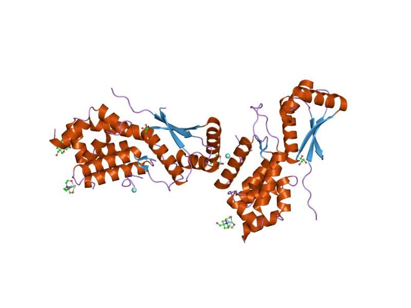 File:PDB 1r6q EBI.jpg