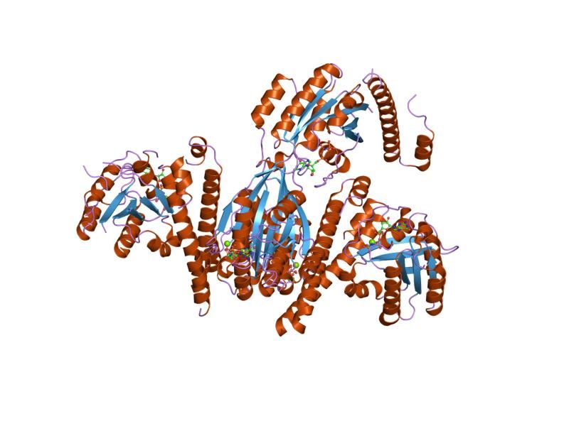 File:PDB 1tu3 EBI.jpg