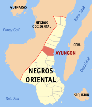 File:Ph locator negros oriental ayungon.png