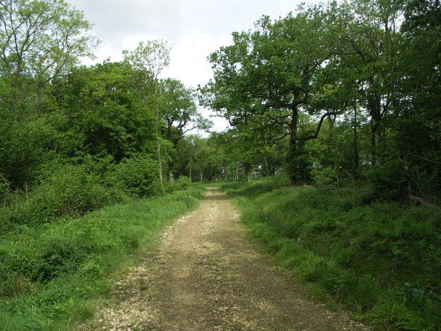 File:Pipewell Wood. - geograph.org.uk - 438928.jpg