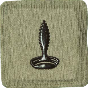 File:SANDF Rank Insignia Chaplain Hindu embossed badge.png