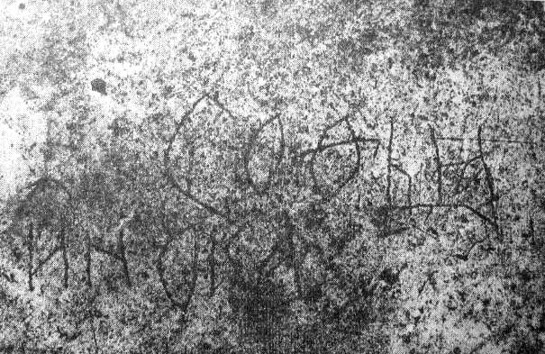 File:Sofia Vitovtovna grave inscription.jpg