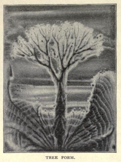 File:SoundTree Margaret Watts Hughes.jpeg