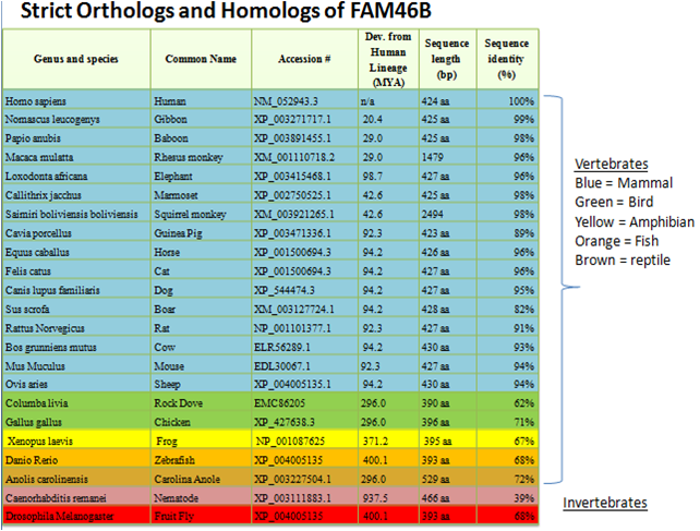 File:Table of FAM46B Ortholgs and Homologs.png