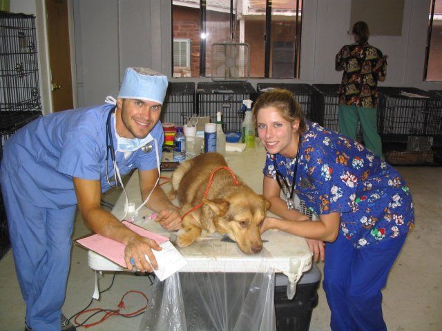 File:Veterinary Students.jpg