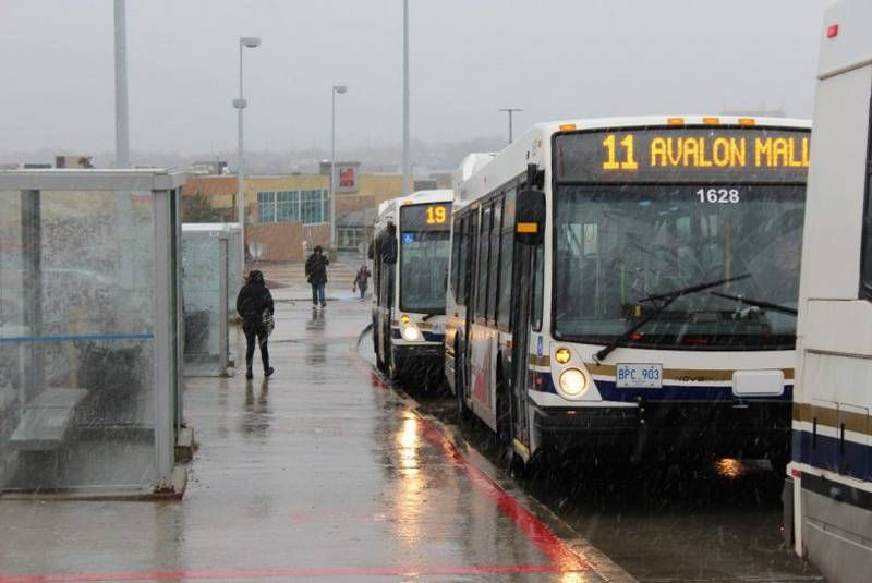 File:Buses at the Avalon Mall.jpg