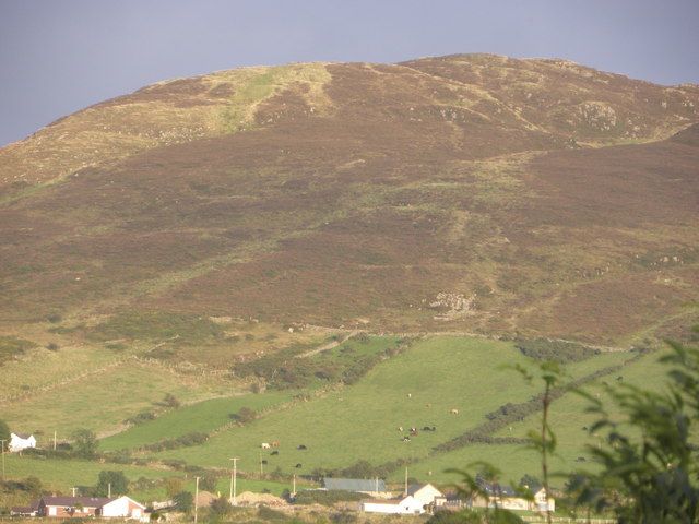 File:Camlough Mountain - geograph.org.uk - 1494058.jpg