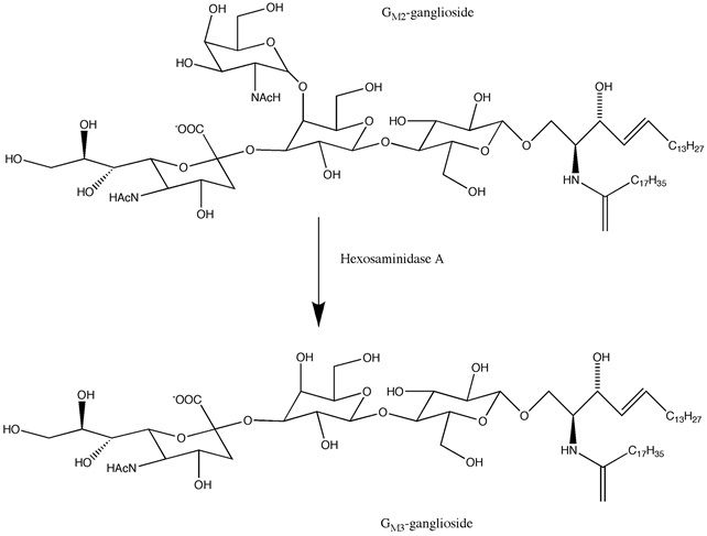 File:Gangs Mechanism.jpg