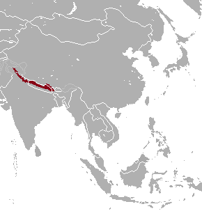 File:Hemitragus jemlahicus range map.png