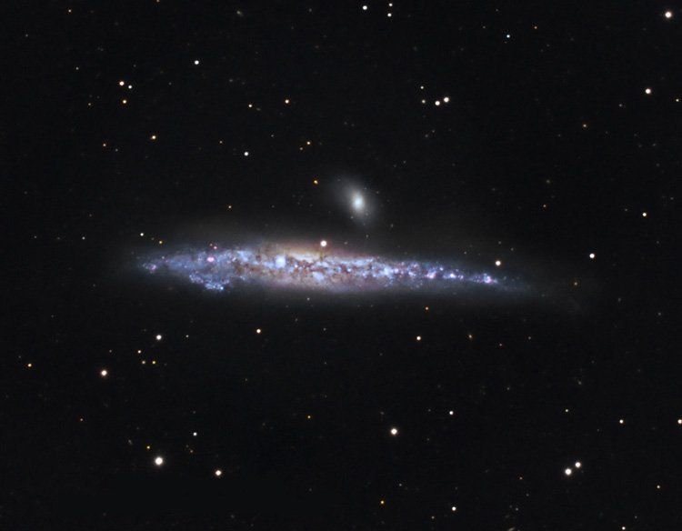 File:NGC4631-stargazer-obs.jpg