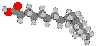 File:Oleic Acid99b.PNG