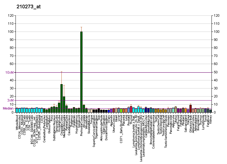 File:PBB GE PCDH7 210273 at fs.png