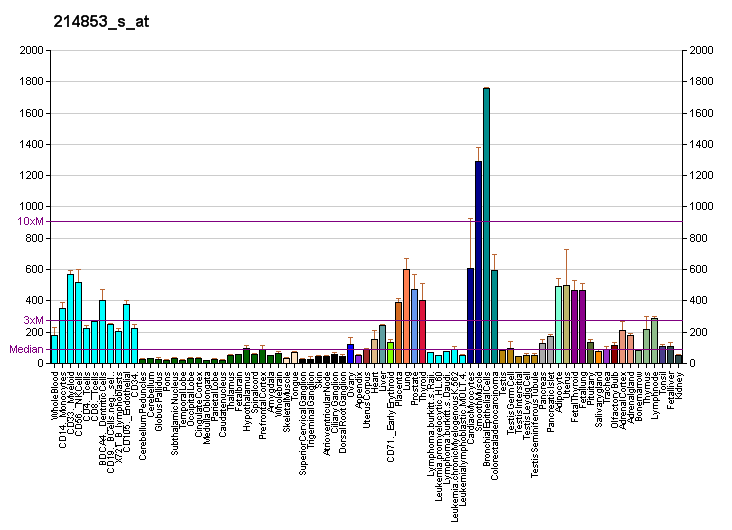 File:PBB GE SHC1 214853 s at fs.png