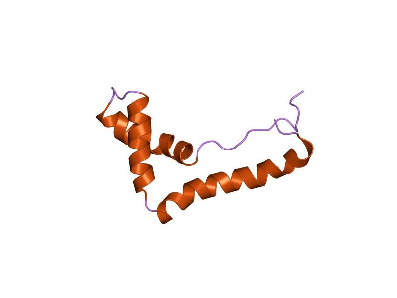 File:PDB 1hme EBI.jpg