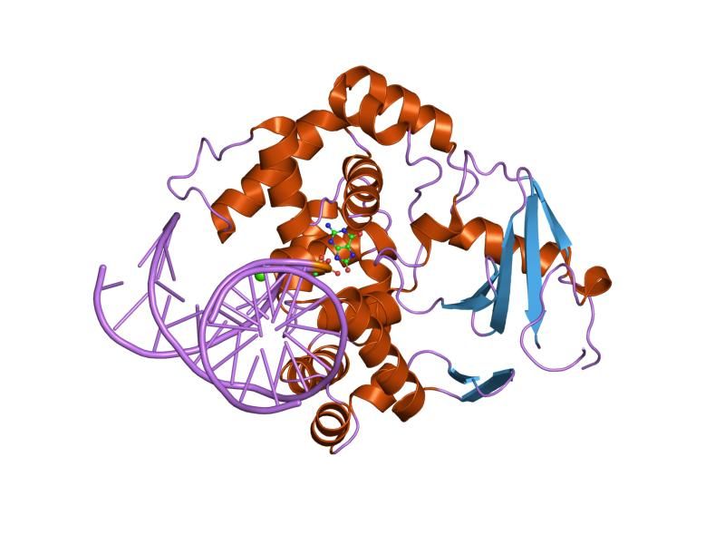 File:PDB 1hu0 EBI.jpg