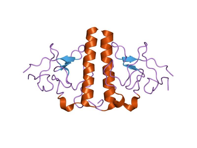 File:PDB 1i5k EBI.jpg