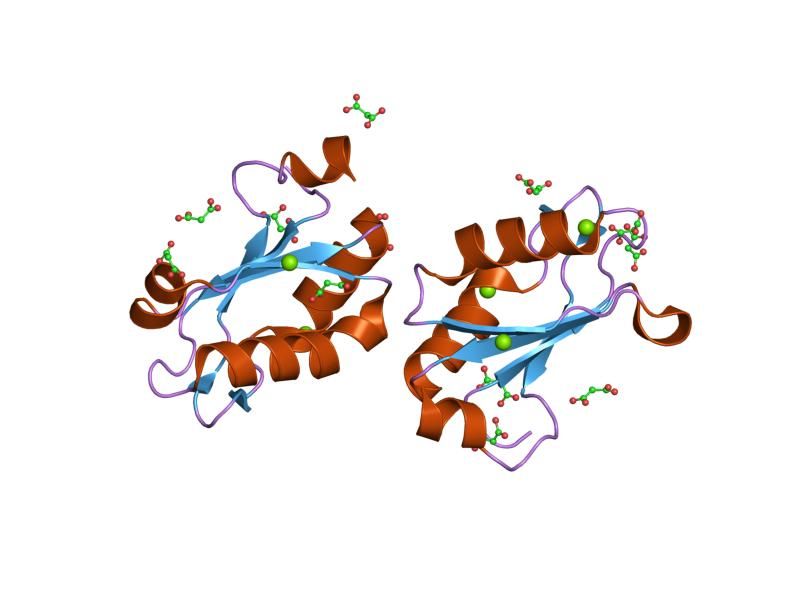 File:PDB 1nu4 EBI.jpg