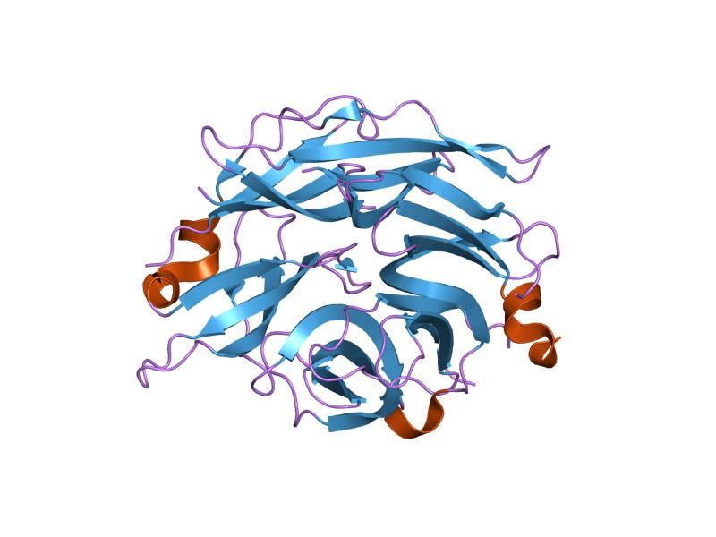 File:PDB 1snt EBI.jpg