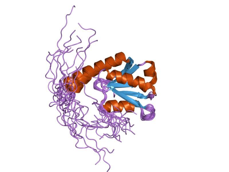 File:PDB 1v95 EBI.jpg