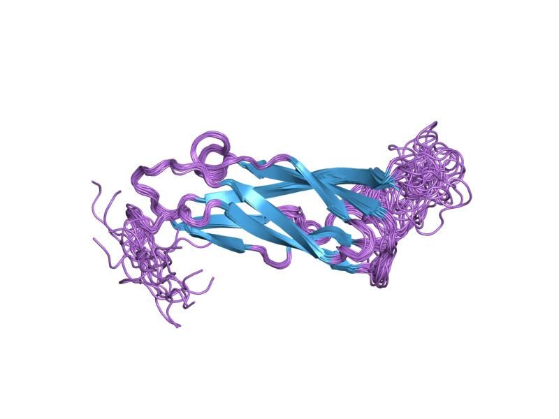 File:PDB 2fws EBI.jpg