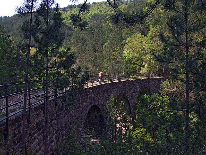 File:Parenzana railway above Mirna.jpg