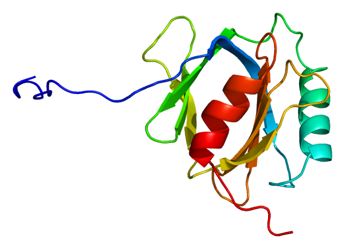 File:Protein APBB2 PDB 1wgu.png