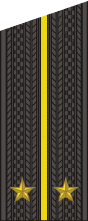 File:RAF N F1b-Lt 2010–.png