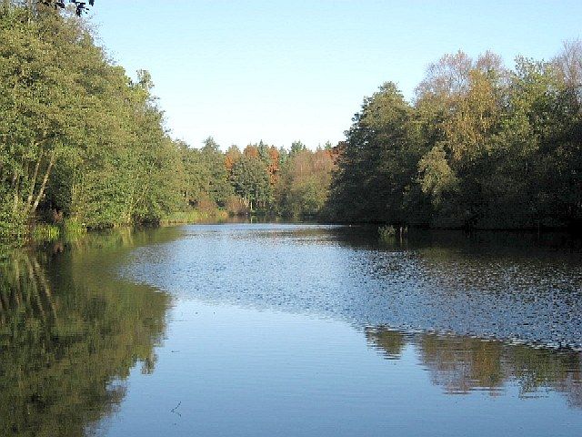 File:Scoulton Mere - geograph.org.uk - 278014.jpg