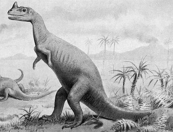 File:Ceratosaurus.jpg