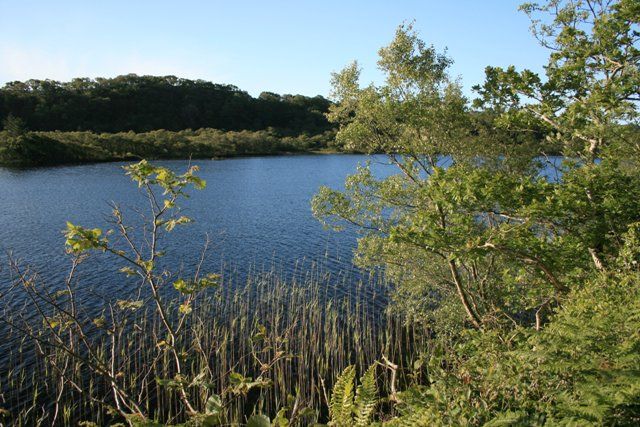 File:Lochan Taynish - geograph.org.uk - 454391.jpg