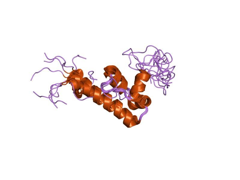 File:PDB 1iyr EBI.jpg