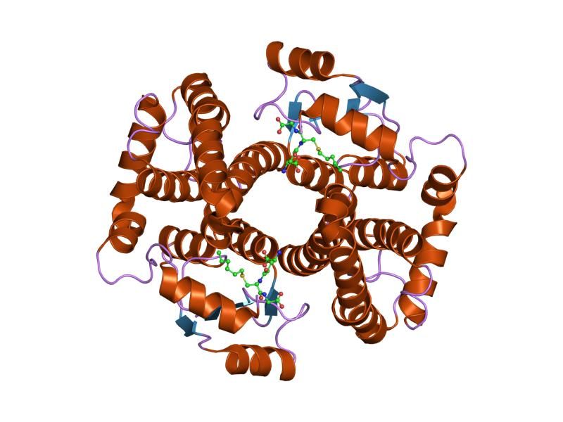 File:PDB 1k3l EBI.jpg