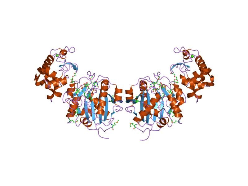 File:PDB 1nhe EBI.jpg