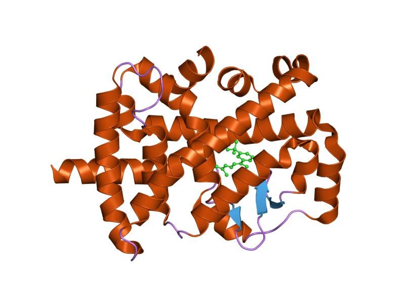 File:PDB 1nq7 EBI.jpg