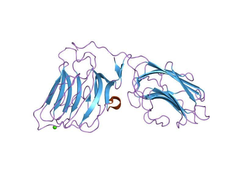 File:PDB 1okq EBI.jpg