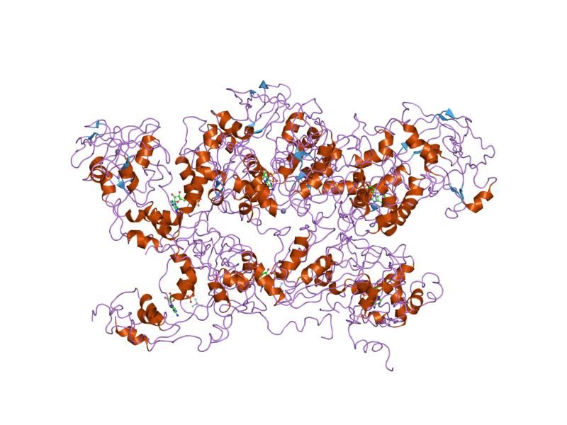 File:PDB 1oz4 EBI.jpg