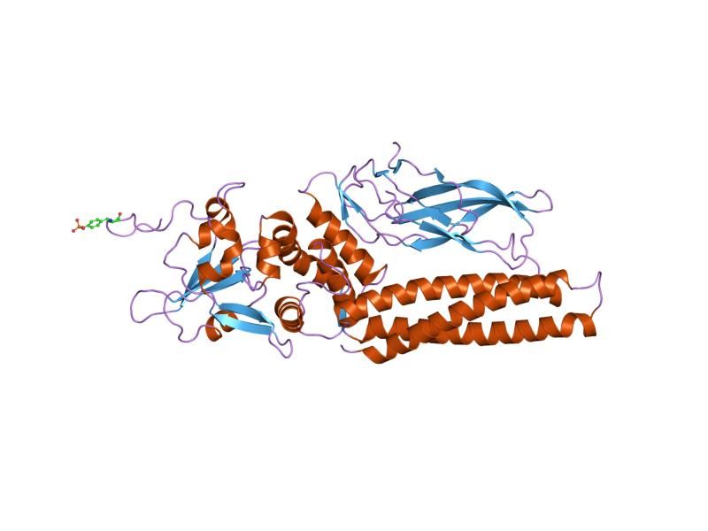 File:PDB 1uur EBI.jpg