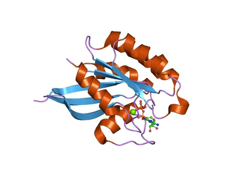 File:PDB 1yvd EBI.jpg