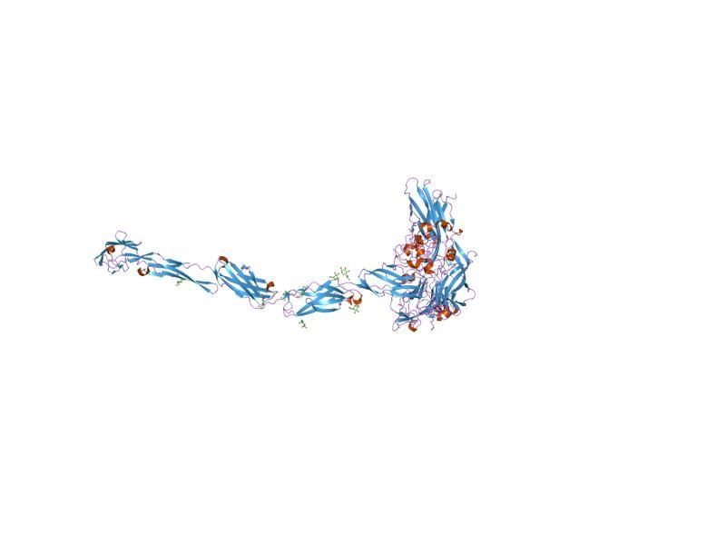 File:PDB 1z7z EBI.jpg