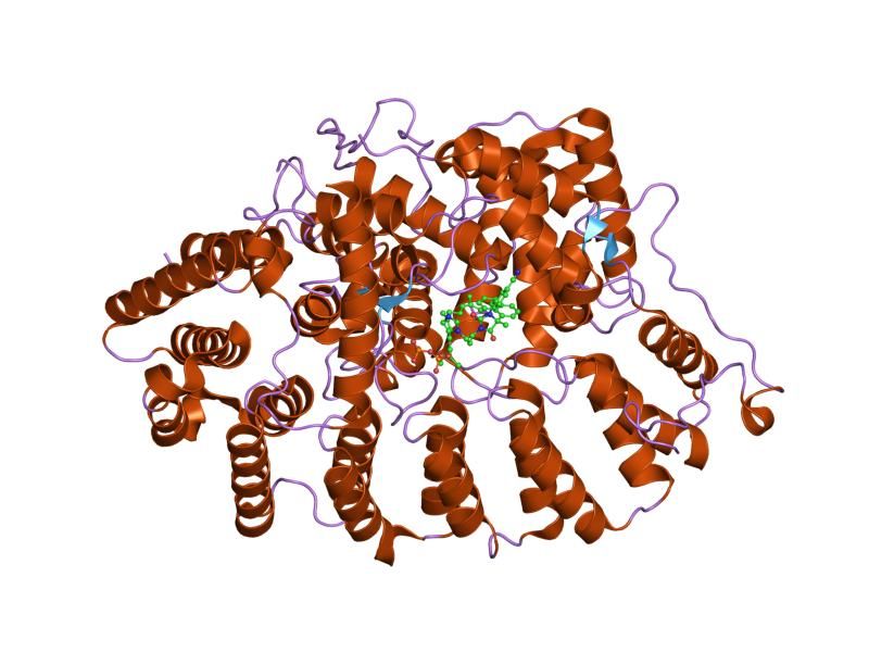 File:PDB 2f0y EBI.jpg