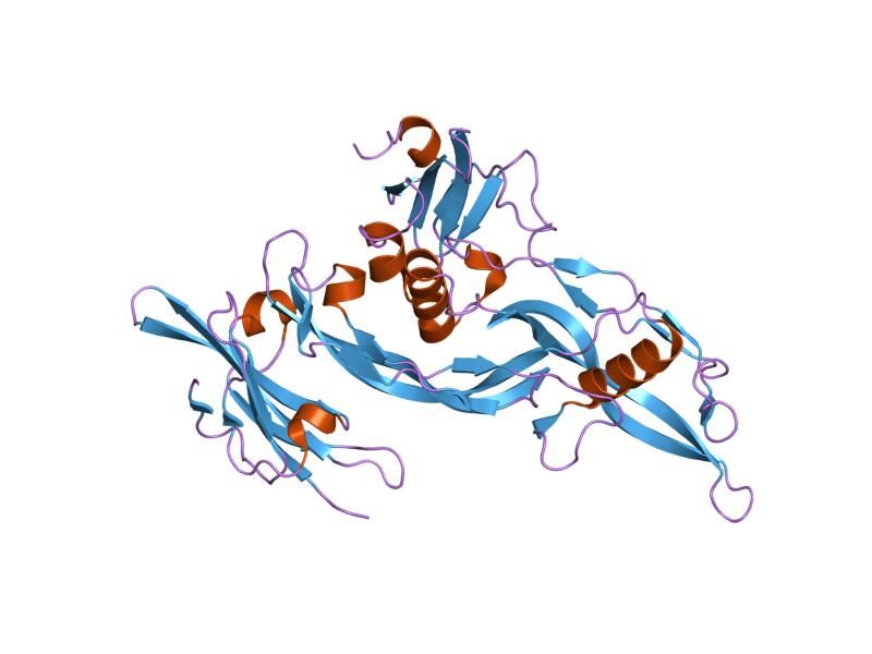 File:PDB 2h62 EBI.jpg