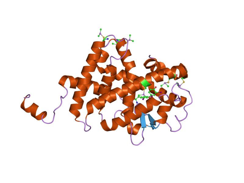 File:PDB 2h79 EBI.png