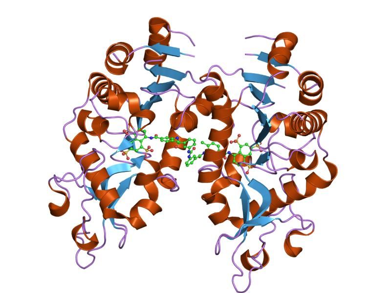 File:PDB 2nyr EBI.jpg