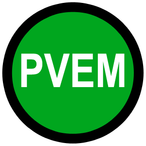 File:PVEM party.png